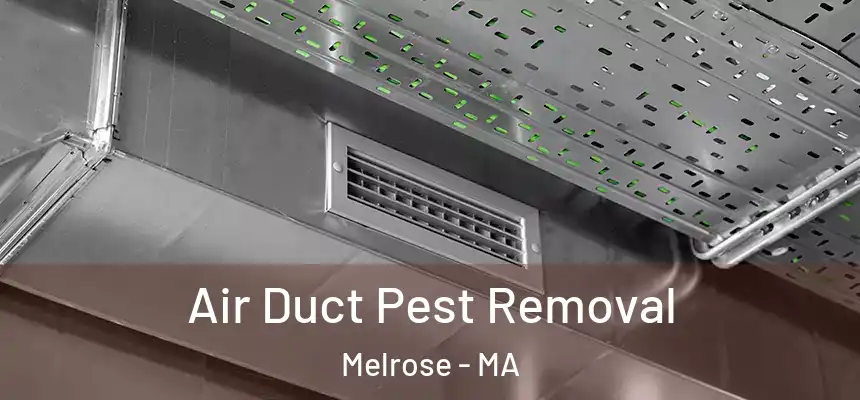 Air Duct Pest Removal Melrose - MA