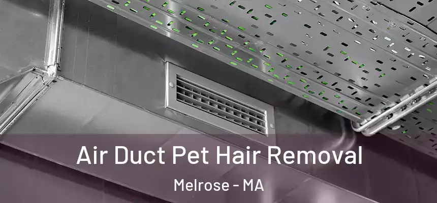 Air Duct Pet Hair Removal Melrose - MA