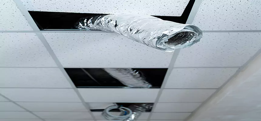 Our Air Duct Pet Hair Removal Services in Melrose, MA