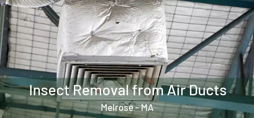  Insect Removal from Air Ducts Melrose - MA
