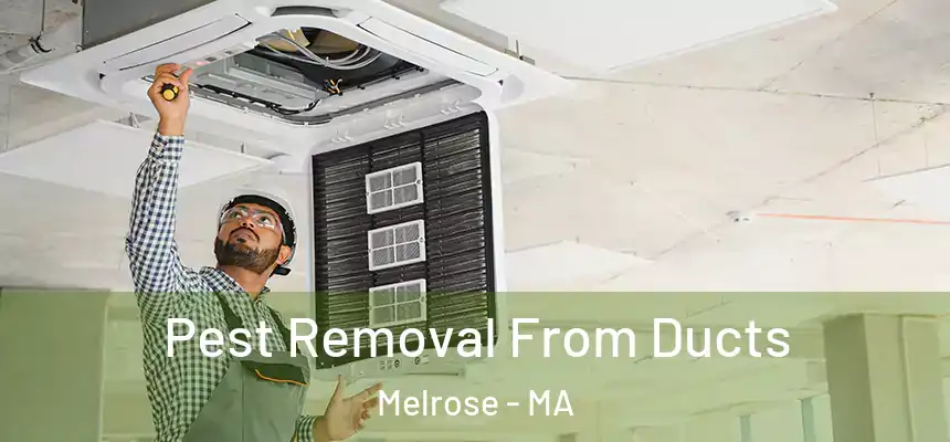 Pest Removal From Ducts Melrose - MA
