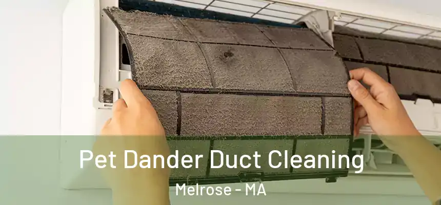 Pet Dander Duct Cleaning Melrose - MA