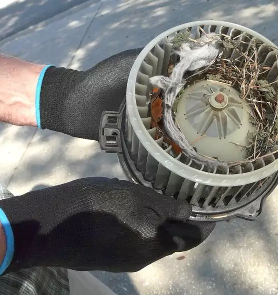 About Air Duct Rat Removal in Melrose, MA