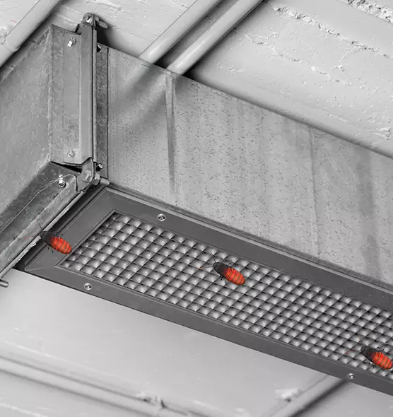 Affordable Insect Removal from Air Ducts in Melrose, MA