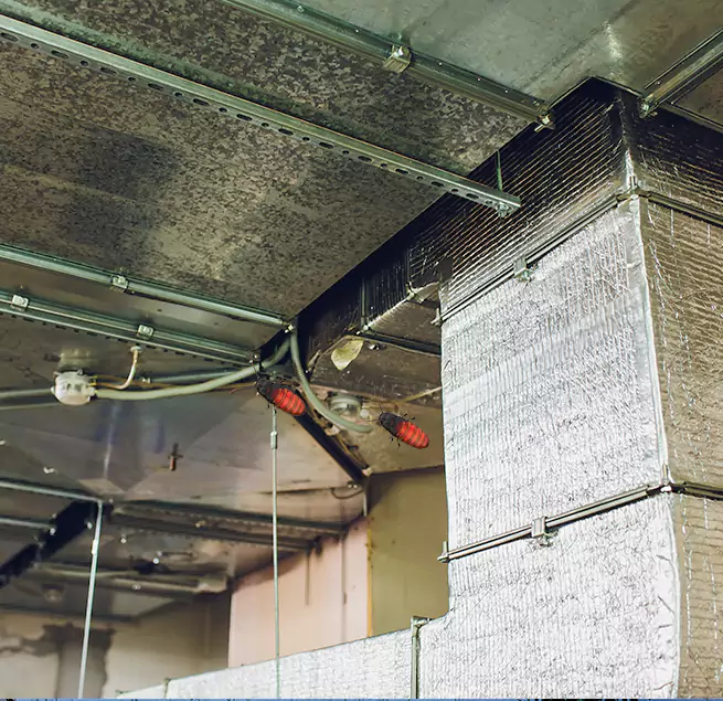 Why Homeowners & Businesses Trust Us in Melrose, MA?