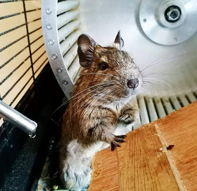 Why Homeowners & Businesses Trust Us Melrose, MA