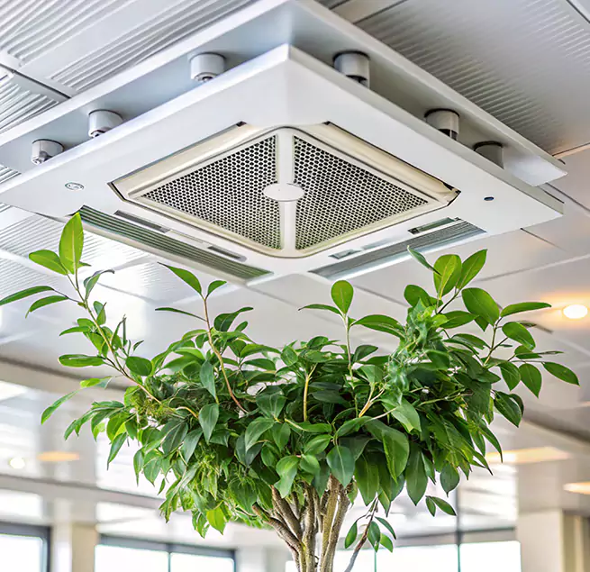 Why Homeowners & Businesses Trust Us in Melrose, MA